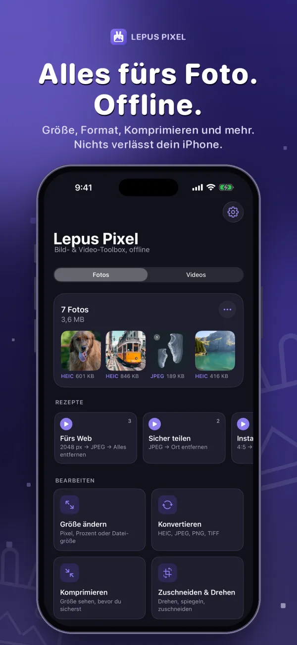 Lepus Pixel, Screenshot 1